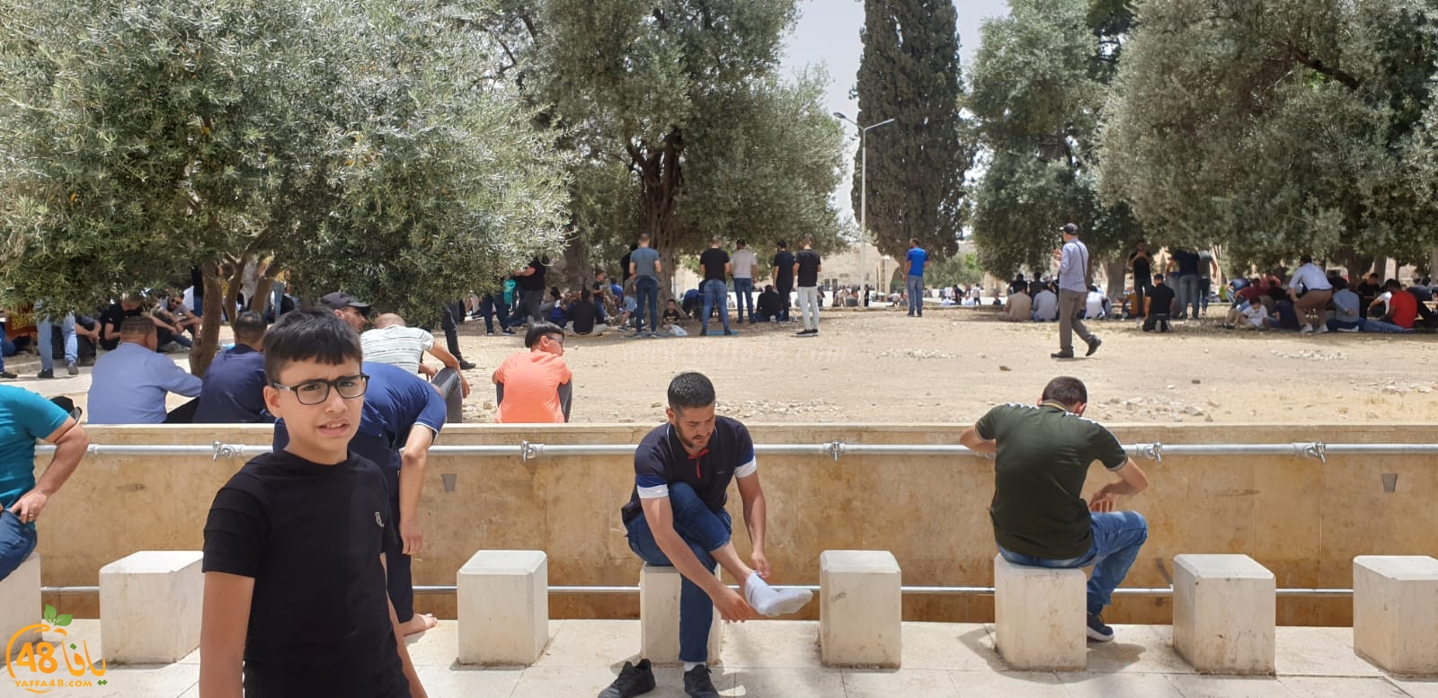 فيديو وصور من باحات المسجد الأقصى المبارك 